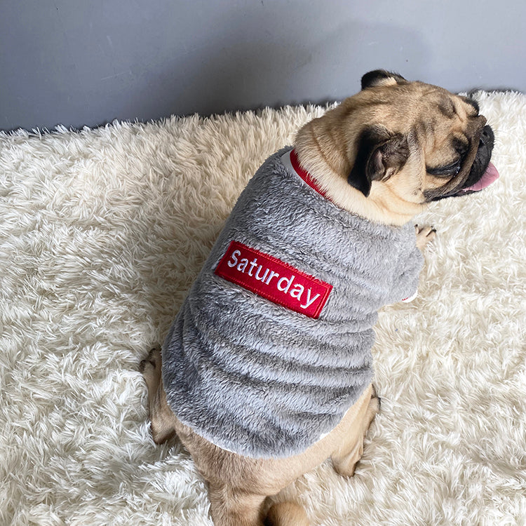 Stylish and Cozy Pet Sweater Clothing Apparel for Your Furry Friends